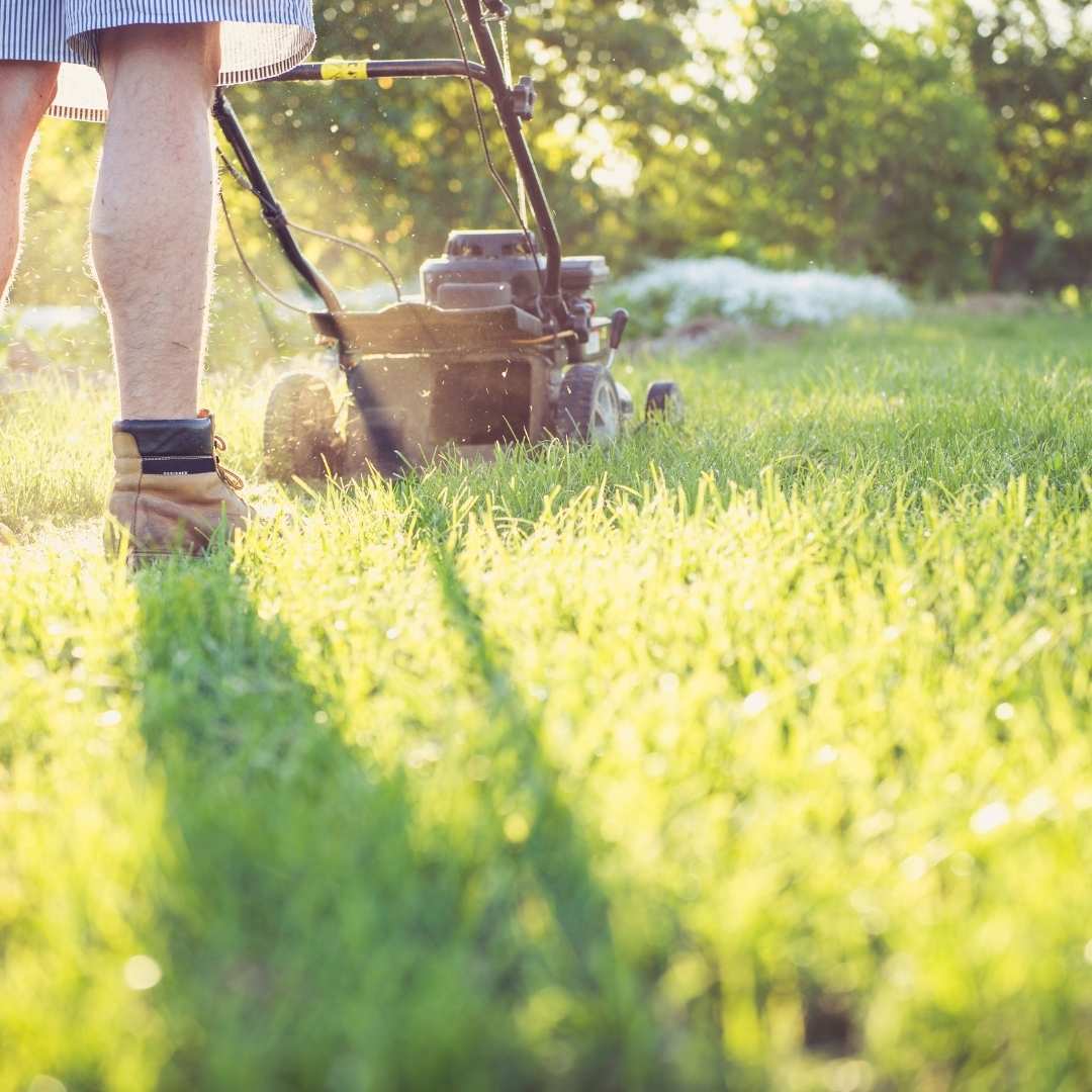 Lawn Mowing in Toronto (1)